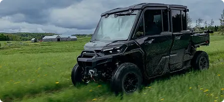 Small black four-door car with tinted windows driving across a vast area of green grass